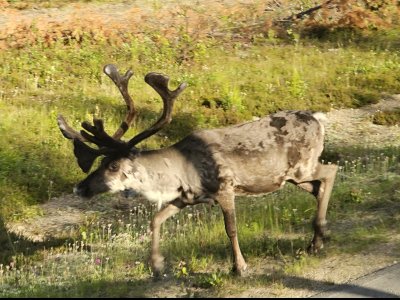 20250706_191434 - Kopie.jpg